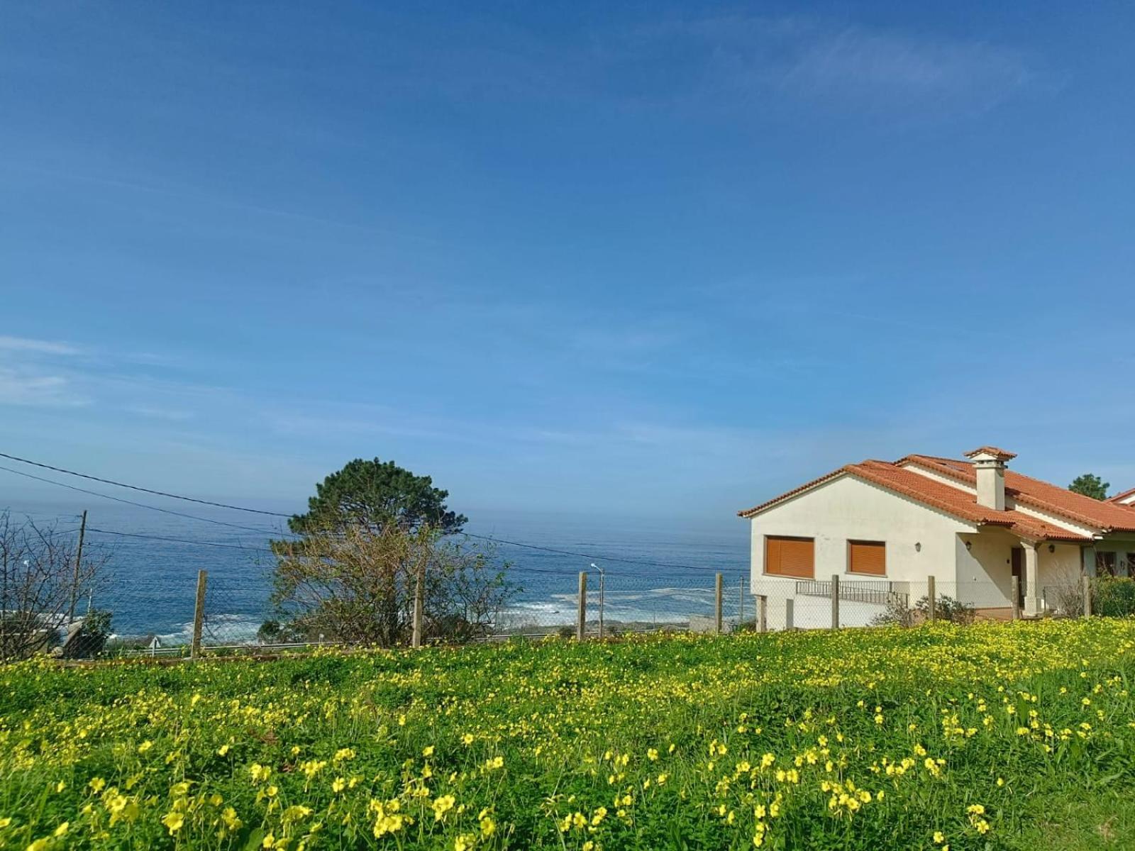 Rooms Peregrinos A Casa Alicia Rosal المظهر الخارجي الصورة